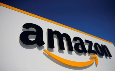What is an Amazon Consultant ?